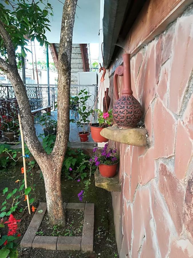 Runo Guest House ガグラ エクステリア 写真