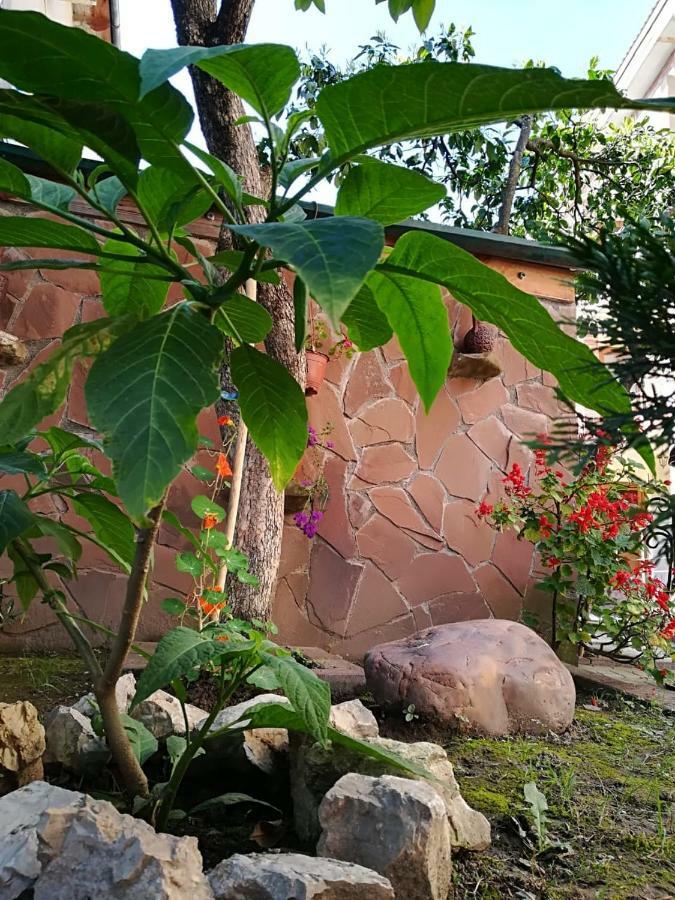 Runo Guest House ガグラ エクステリア 写真