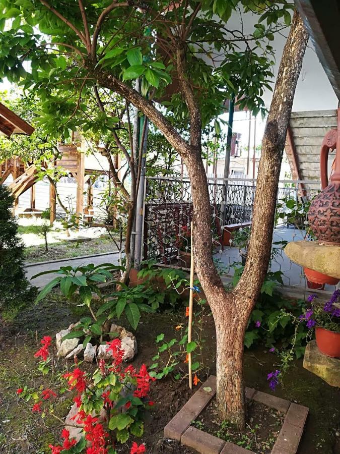 Runo Guest House ガグラ エクステリア 写真