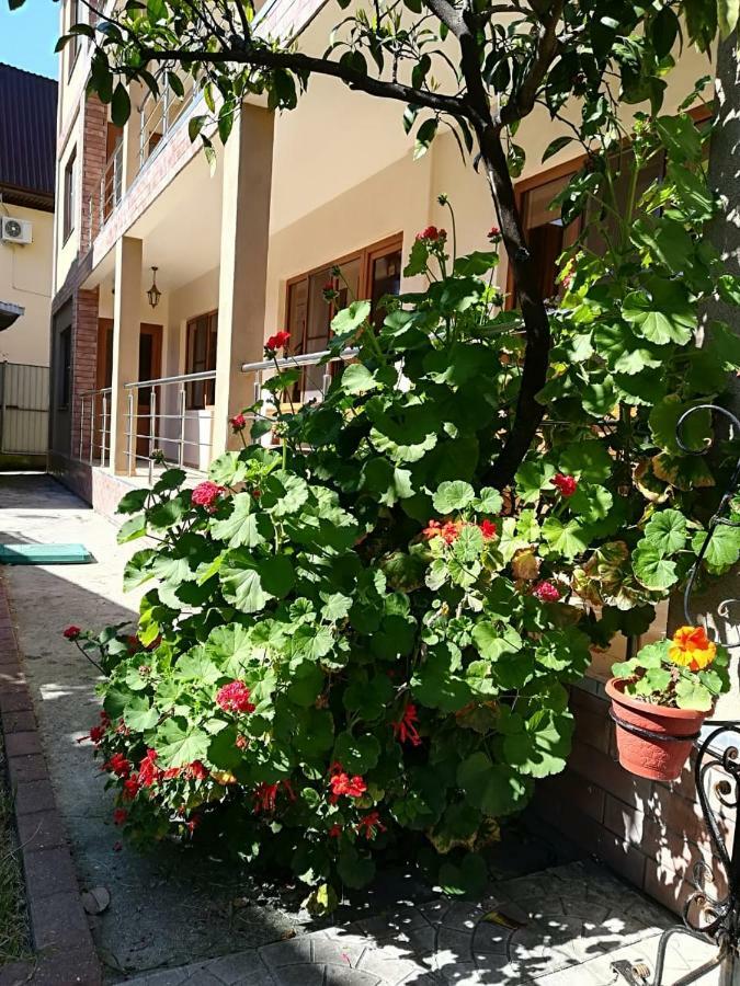 Runo Guest House ガグラ エクステリア 写真
